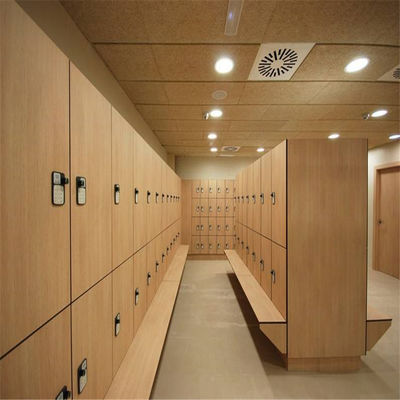 کمد اتاق تعویض HPL ، قفسه های بدن سازی 12 میلی متر دو درب مدرسه مدرسه